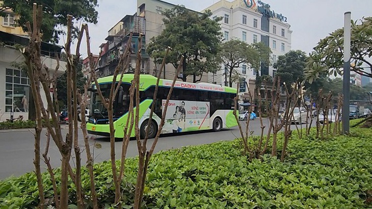 Vì sao hàng cây tường vi bị cắt trơ trụi trên tuyến đường đẹp nhất Thủ đô?- Ảnh 3. Vì sao hàng cây tường vi bị cắt trơ trụi trên tuyến đường đẹp nhất Thủ đô?- Ảnh 3.