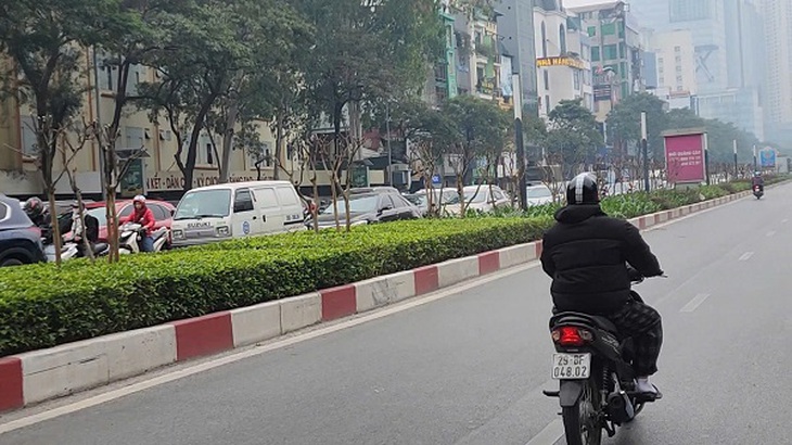 Vì sao hàng cây tường vi bị cắt trơ trụi trên tuyến đường đẹp nhất Thủ đô?- Ảnh 2. Vì sao hàng cây tường vi bị cắt trơ trụi trên tuyến đường đẹp nhất Thủ đô?- Ảnh 2.