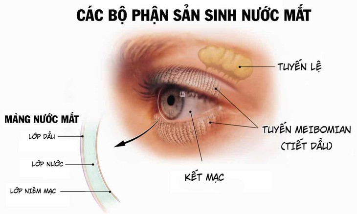 Cách nào phòng ngừa khô mắt?- Ảnh 1.