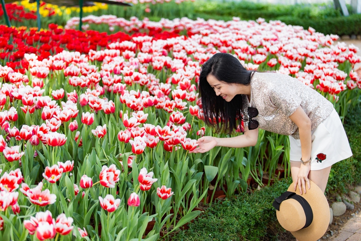 Du xuân đón Tết đậm màu sắc Phương Đông tại Vinpearl khắp 3 miền- Ảnh 1. Du xuân đón Tết đậm màu sắc Phương Đông tại Vinpearl khắp 3 miền- Ảnh 1.