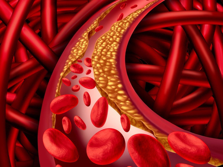 Cholesterol có vai trò thiết yếu để hệ miễn dịch hoạt động đúng chức năng.