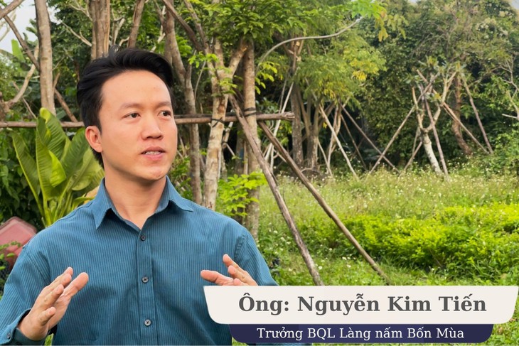Nấm Hầu thủ - Nấm dược liệu tiềm năng nhưng đầy thách thức- Ảnh 1. Nấm Hầu thủ - Nấm dược liệu tiềm năng nhưng đầy thách thức- Ảnh 1.