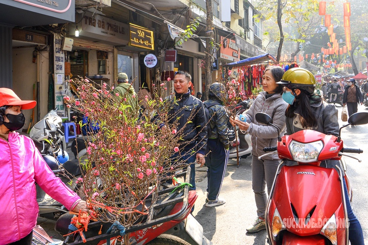 Không khí Tết ngập tràn chợ hoa Hàng Lược- Ảnh 1.