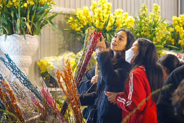 Chuyên gia chỉ rõ những lưu ý khi chọn mua hoa chơi Tết- Ảnh 2. Chuyên gia chỉ rõ những lưu ý khi chọn mua hoa chơi Tết- Ảnh 2.