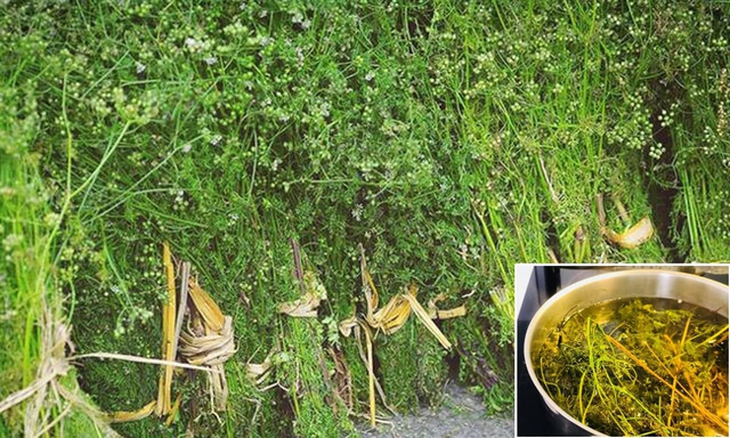 5 việc quan trọng nên làm trong những ngày tất niên năm 2025 để mang lại tài lộc, may mắn- Ảnh 2.