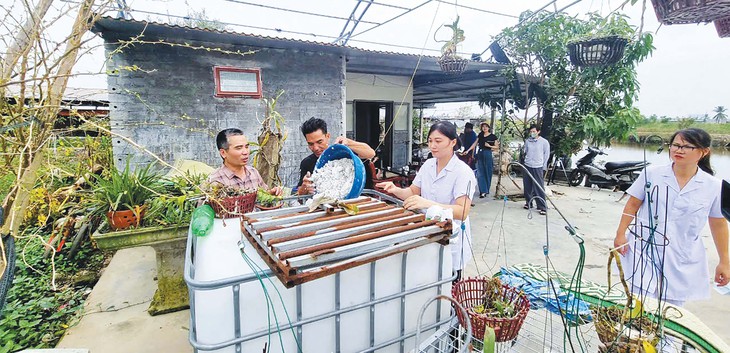 Bộ Y tế tăng cường phát hiện sớm các nguy cơ dịch bệnh tại cộng đồng và cơ sở y tế- Ảnh 1. Bộ Y tế tăng cường phát hiện sớm các nguy cơ dịch bệnh tại cộng đồng và cơ sở y tế- Ảnh 1.