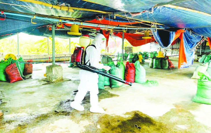 Phòng chống dịch sau bão: Cuộc chạy đua thần tốc- Ảnh 2. Phòng chống dịch sau bão: Cuộc chạy đua thần tốc- Ảnh 2.