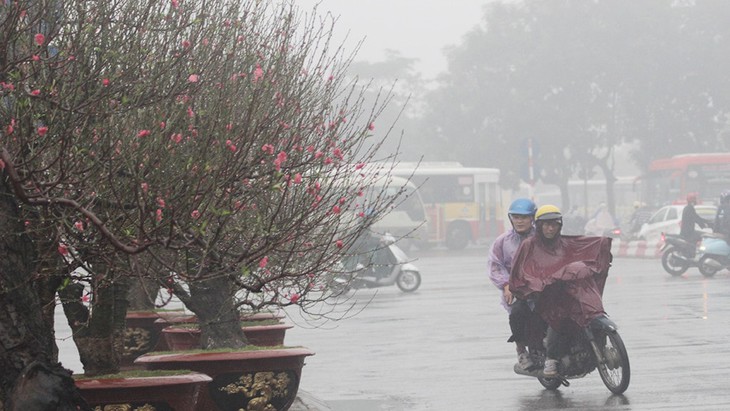 Rét đậm rét hại sắp bao phủ miền Bắc, Bộ NN&PTNT ra công điện ứng phó- Ảnh 2.