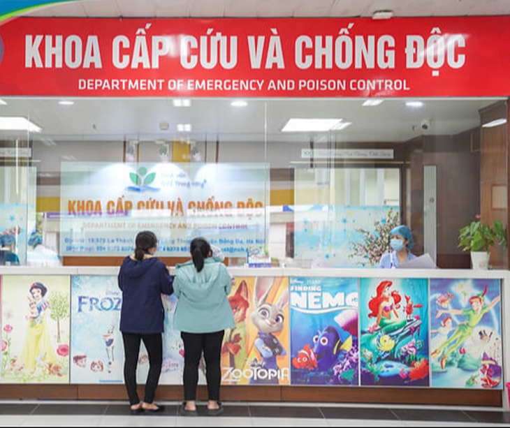 Chữa viêm phổi bằng mật cá trắm, bé trai 6 tuổi tử vong- Ảnh 1.
