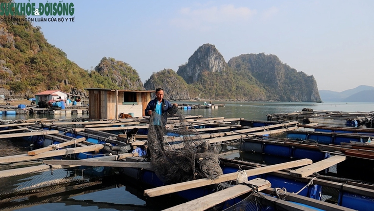 Làng chài Ông Cụ đón Tết với ước vọng mới- Ảnh 3.