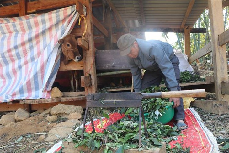 Thủ tướng Chính phủ chỉ đạo chủ động phòng, chống rét đậm, rét hại kéo dài- Ảnh 2. Thủ tướng Chính phủ chỉ đạo chủ động phòng, chống rét đậm, rét hại kéo dài- Ảnh 2.