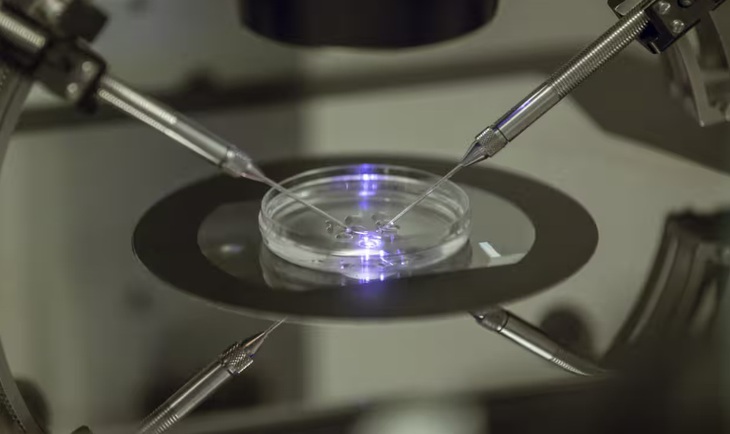 Công nghệ nuôi cấy trứng và tinh trùng trong phòng thí nghiệm sắp trở thành hiện thực?- Ảnh 1.