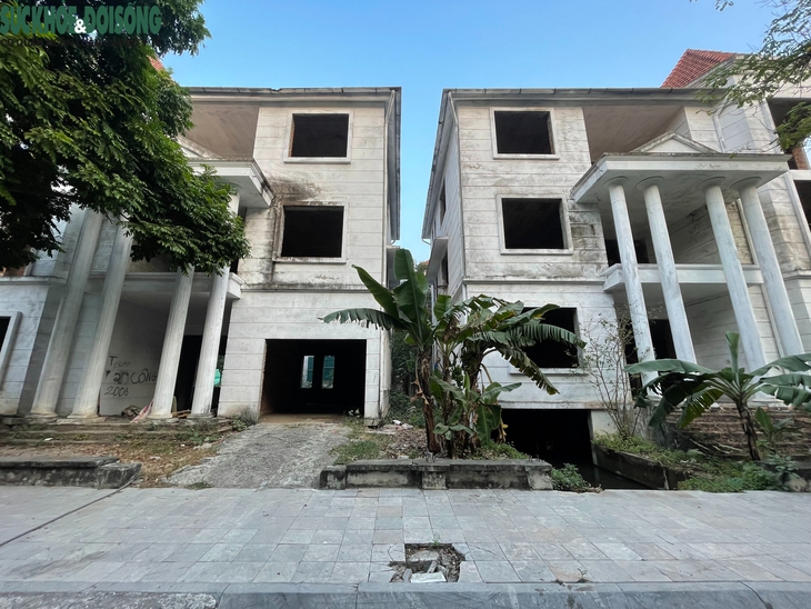 Cận cảnh loạt biệt thự triệu đô tại KĐT Thiên đường Bảo Sơn bỏ hoang được tận dụng trồng rau- Ảnh 1. Cận cảnh loạt biệt thự triệu đô tại KĐT Thiên đường Bảo Sơn bỏ hoang được tận dụng trồng rau- Ảnh 1.