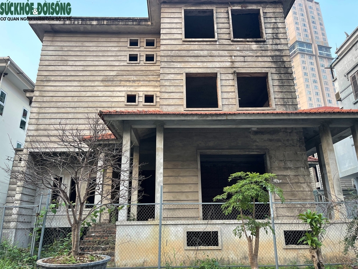 Cận cảnh loạt biệt thự triệu đô tại KĐT Thiên đường Bảo Sơn bỏ hoang được tận dụng trồng rau- Ảnh 5. Cận cảnh loạt biệt thự triệu đô tại KĐT Thiên đường Bảo Sơn bỏ hoang được tận dụng trồng rau- Ảnh 5.