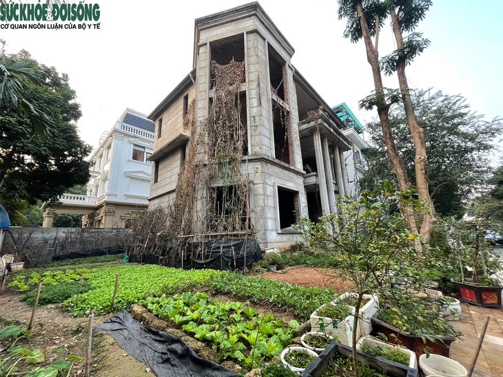 Cận cảnh loạt biệt thự triệu đô tại KĐT Thiên đường Bảo Sơn bỏ hoang được tận dụng trồng rau- Ảnh 7. Cận cảnh loạt biệt thự triệu đô tại KĐT Thiên đường Bảo Sơn bỏ hoang được tận dụng trồng rau- Ảnh 7.