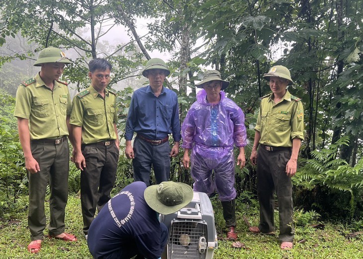 Thả nhiều động vật quý hiếm về rừng tại Thanh Hóa- Ảnh 9. Thả nhiều động vật quý hiếm về rừng tại Thanh Hóa- Ảnh 9.