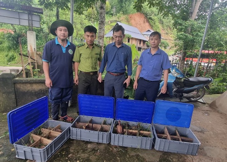 Thả nhiều động vật quý hiếm về rừng tại Thanh Hóa- Ảnh 7. Thả nhiều động vật quý hiếm về rừng tại Thanh Hóa- Ảnh 7.