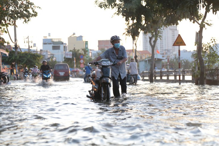 Nam Bộ bước vào đợt triều cường, nhiều khu vực có nguy cơ ngập úng- Ảnh 2. Nam Bộ bước vào đợt triều cường, nhiều khu vực có nguy cơ ngập úng- Ảnh 2.