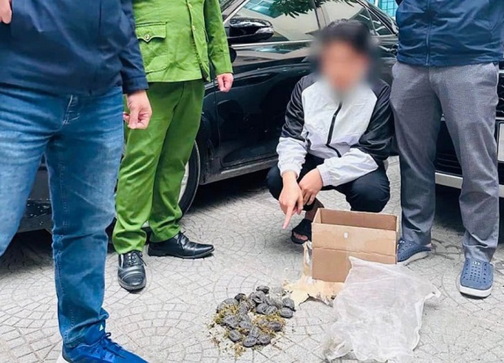 Thu giữ 30 cá thể rùa quý hiếm đang trên đường vận chuyển đi bán- Ảnh 1. Thu giữ 30 cá thể rùa quý hiếm đang trên đường vận chuyển đi bán- Ảnh 1.