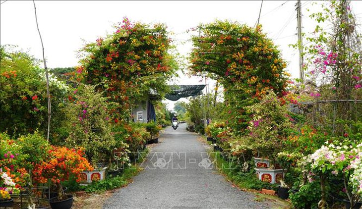 Làng nghề hoa giấy Tân Dương chuẩn bị hàng triệu chậu hoa phục vụ Tết- Ảnh 2.