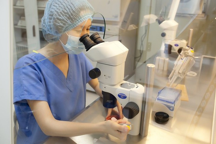 Những chính sách nổi bật có hiệu lực từ tháng 10/2025: Phụ nữ độc thân được quyền sinh con bằng IVF- Ảnh 1.