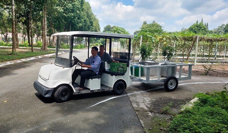 Bệnh viện Lê Văn Thịnh tặng xe điện, hỗ trợ khám bệnh định kỳ tại Trung tâm Điều dưỡng tâm thần Tân Định- Ảnh 4.