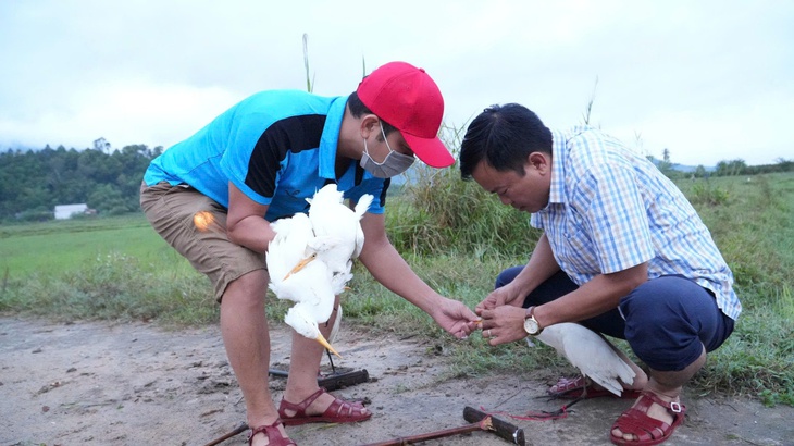 Mật phục, bắt quả tang 2 người đàn ông bẫy bắt chim hoang dã ở Huế- Ảnh 3.