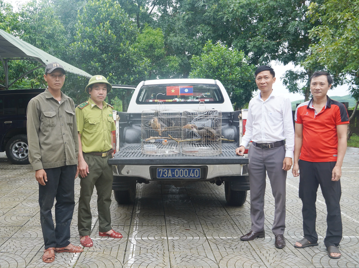 Loài chim trong Sách đỏ bay vào nhà và hành động bất ngờ của người đàn ông trong bản- Ảnh 1.