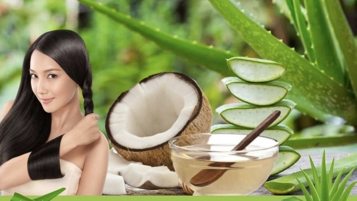 Loại lá có tác dụng phục hồi tóc hư tổn chỉ sau vài lần gội đầu- Ảnh 1.