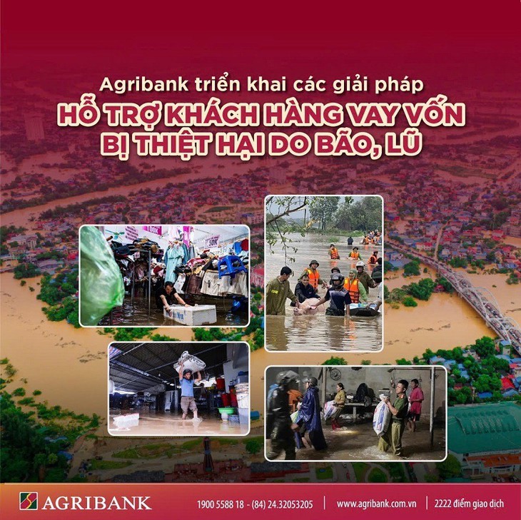 Agribank giảm tới 2%/năm lãi suất cho vay hỗ trợ khách hàng bị ảnh hưởng, thiệt hại do bão, lũ- Ảnh 1.
