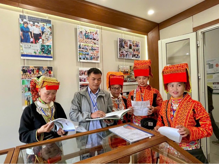 Hệ thống “chuỗi giá trị” - Hướng đi mới trong phát triển dược liệu vùng đồng bào DTTS&MN- Ảnh 2.