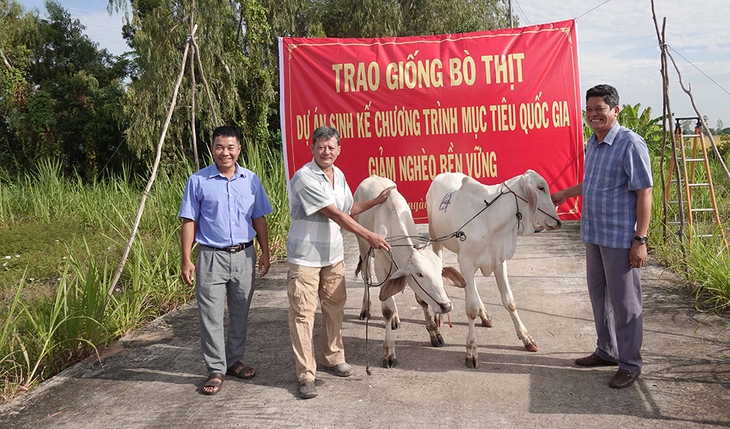 A group of men standing next to a group of cows  AI-generated content may be incorrect.