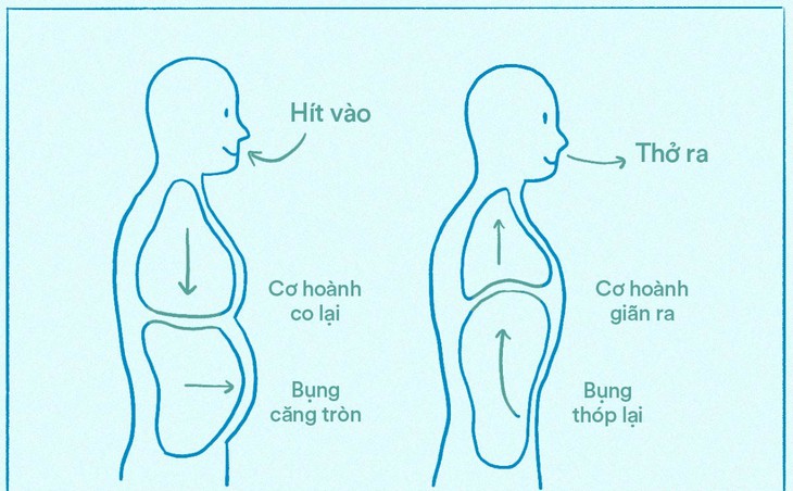 5 bài tập dưỡng sinh tốt cho phổi- Ảnh 1.