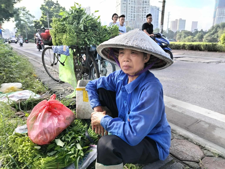 Bà nội trợ Hà Nội choáng với giá rau muống 20.000 đồng/bó- Ảnh 2.
