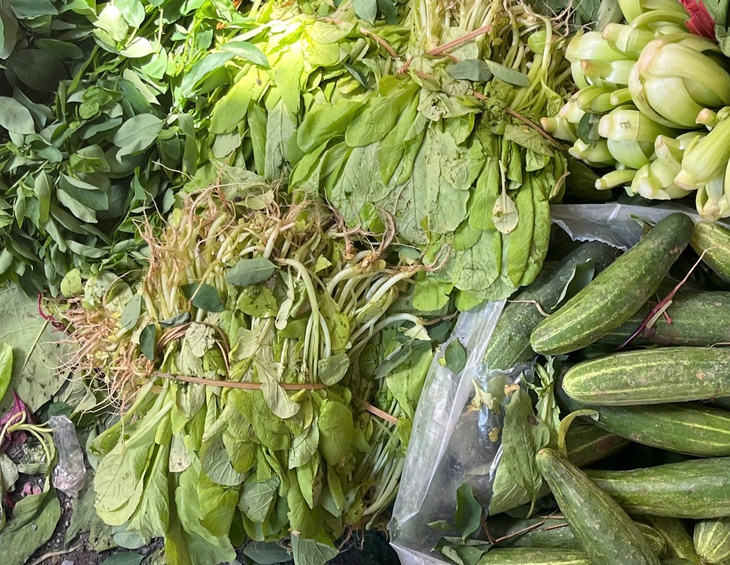 Bà nội trợ Hà Nội choáng với giá rau muống 20.000 đồng/bó- Ảnh 6.