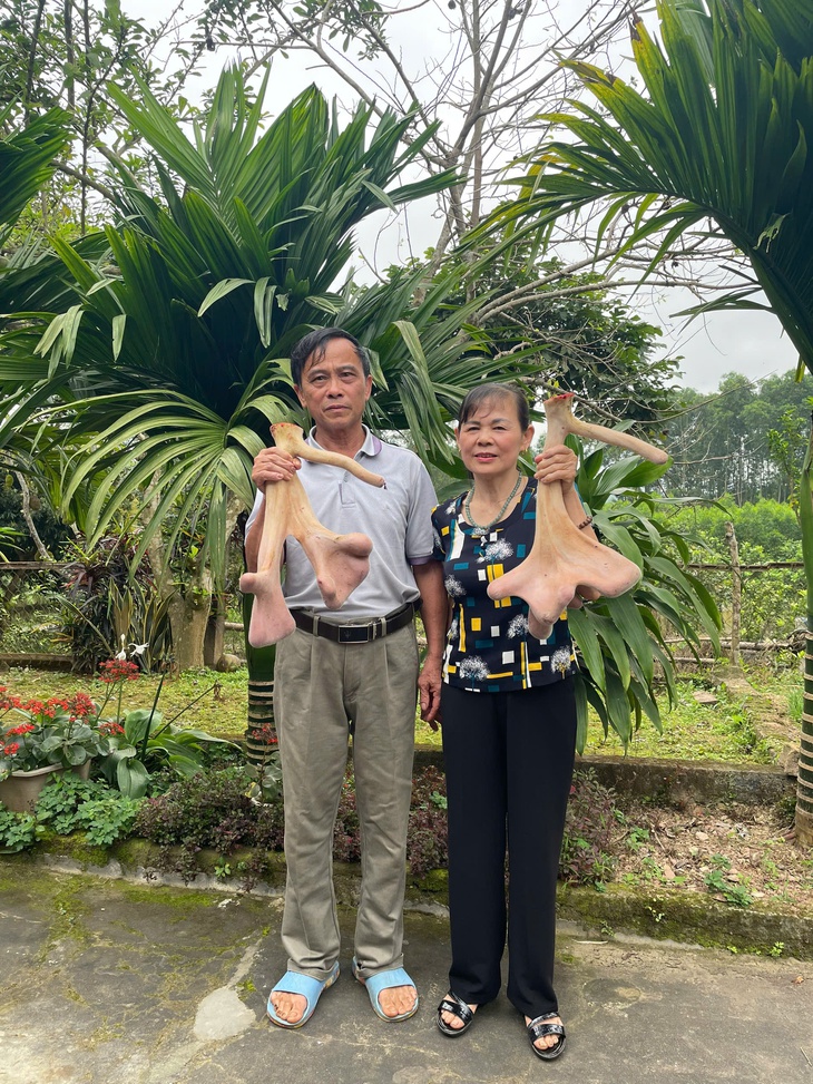 Những chính sách của Hà Tĩnh giúp người dân giảm nghèo bền vững nhờ nuôi hươu- Ảnh 2.