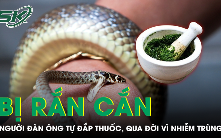 Nước mắt lạc đà có kháng được nọc rắn như lời đồn?- Ảnh 4.