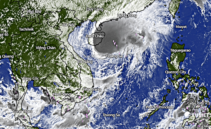 Khẩn trương triển khai các biện pháp chủ động ứng phó với bão số 12- Ảnh 2.