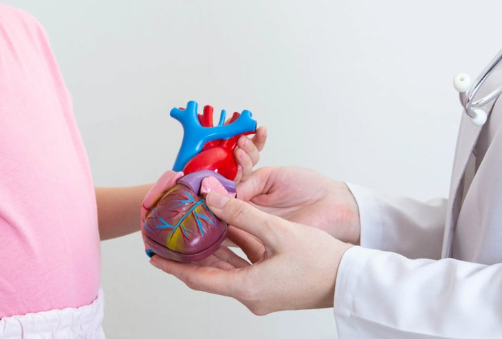 Viêm cơ tim tự miễn: kẻ thù thầm lặng ở trẻ nhỏ- Ảnh 1.