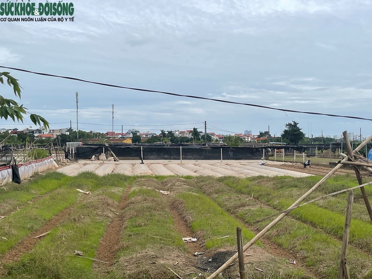Cảnh tiêu điều tại làng hoa Tây Tựu, nhiều hộ dân mất trắng sau ngập lụt- Ảnh 1.