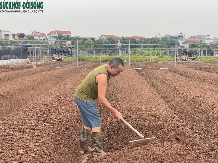 Cảnh tiêu điều tại làng hoa Tây Tựu, nhiều hộ dân mất trắng sau ngập lụt- Ảnh 8.