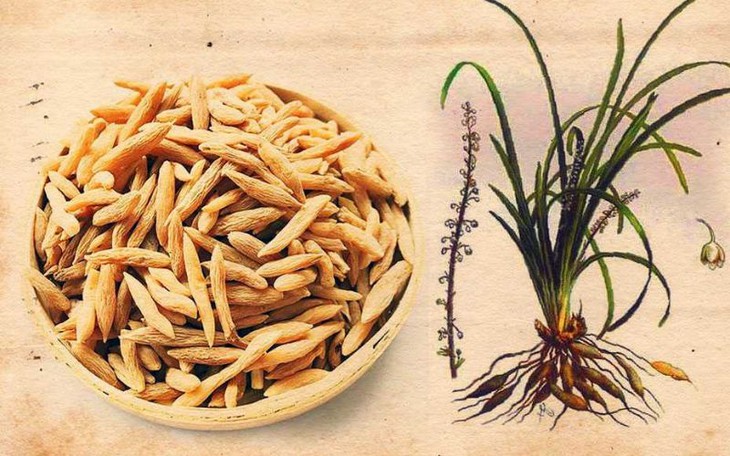 4 món ăn bài thuốc nhuận phế thanh táo thích hợp trong mùa thu- Ảnh 2.