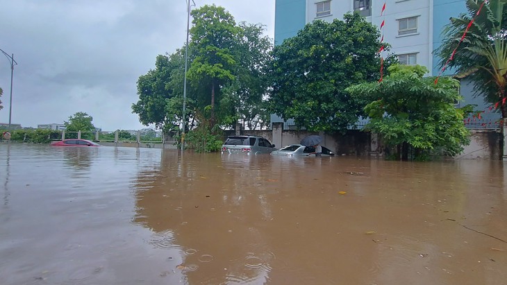 Miền Bắc chuyển rét, Đà Nẵng có nơi mưa trên 700mm- Ảnh 2.