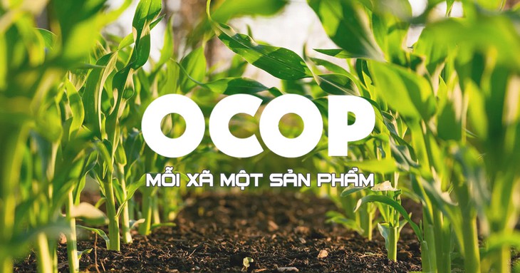 Tăng cường chính sách hỗ trợ và tháo gỡ vướng mắc trong triển khai OCOP- Ảnh 1.