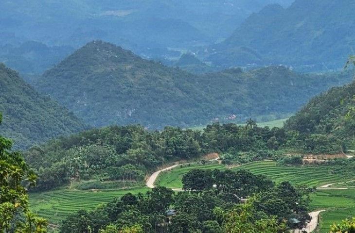 Phát hiện loài chuột chũi, động vật còn nhiều bí ẩn dưới lòng đất Pù Luông- Ảnh 1.