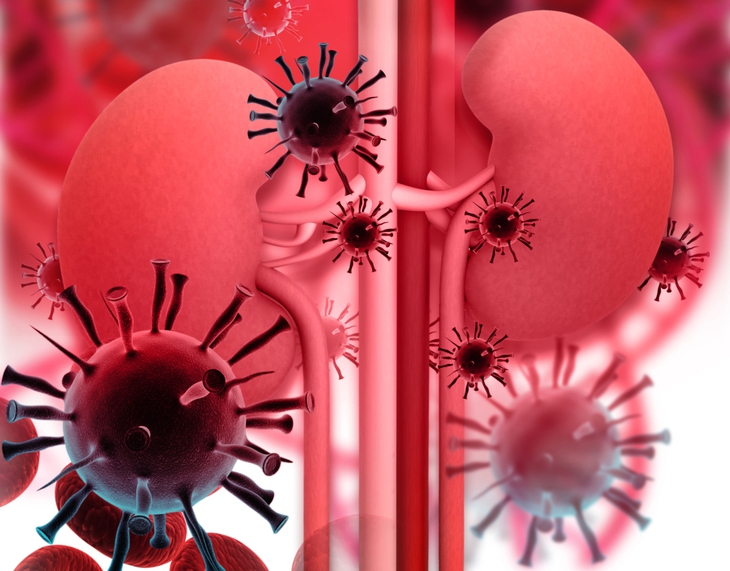 HIV và bệnh thận mạn tính: Những điều nên biết- Ảnh 1.