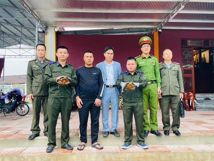 Phát hiện hai cá thể rùa quý hiếm trong khuôn viên đền- Ảnh 2.