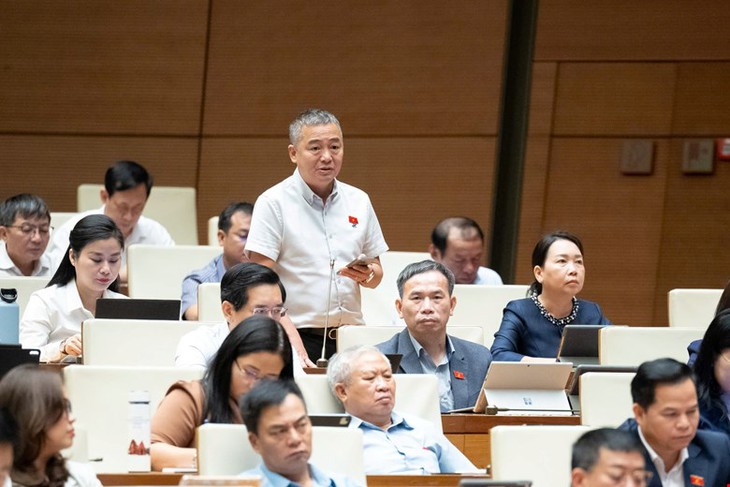 Thiên tai ngày càng khốc liệt, ĐBQH đề nghị giữ rừng, xử lý phá rừng lấy gỗ và làm dự án- Ảnh 2.