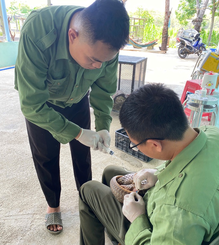 Chuyện về ‘bảo mẫu’ đặc biệt của động vật quý hiếm- Ảnh 1.