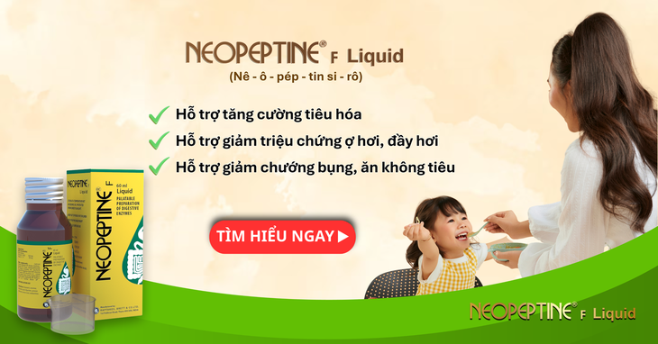 Giải pháp hỗ trợ tăng cường tiêu hóa và hấp thu thức ăn, hỗ trợ giảm rối loạn tiêu hóa, ợ hơi, đầy hơi, chướng bụng, ăn khó tiêu- Ảnh 3.